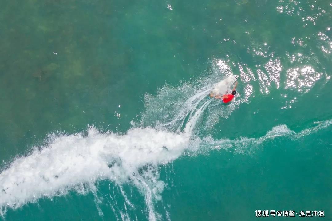 逗小猴开心系列179